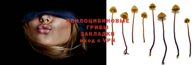 эйфоретик Покачи