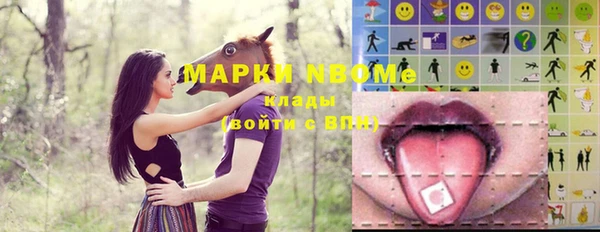 эйфоретик Покачи