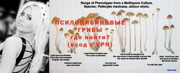 ешки Иннополис