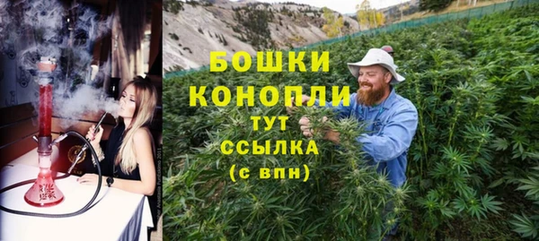 эйфоретик Покачи