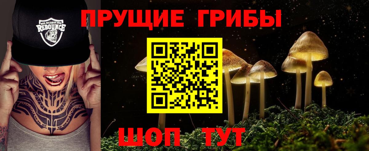 Псилоцибиновые грибы GOLDEN TEACHER Кыштым