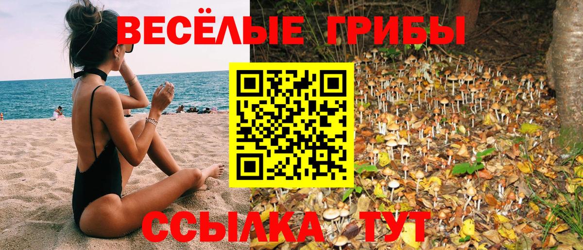 Галлюциногенные грибы MAGIC MUSHROOMS  как найти наркотики  Кыштым  Вход с VPN 